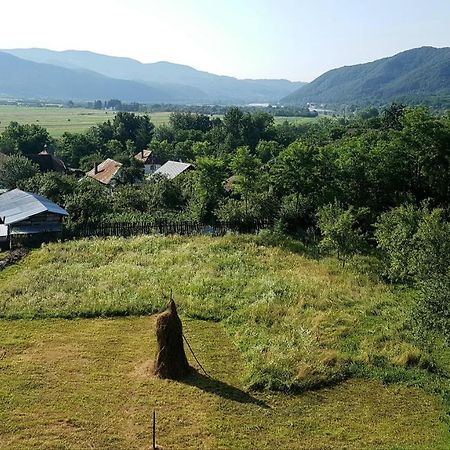 Pensiunea Adeluta Apartament Călimăneşti Εξωτερικό φωτογραφία