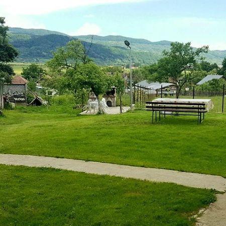 Pensiunea Adeluta Apartament Călimăneşti Εξωτερικό φωτογραφία