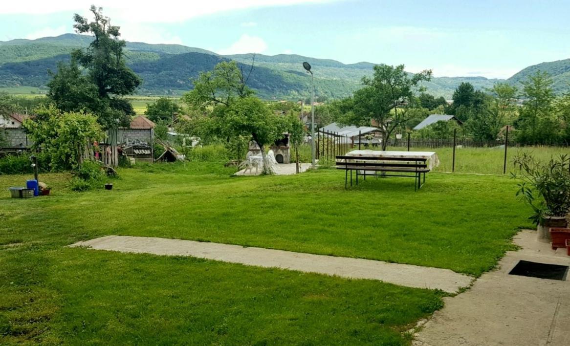 Pensiunea Adeluta Apartament Călimăneşti Εξωτερικό φωτογραφία