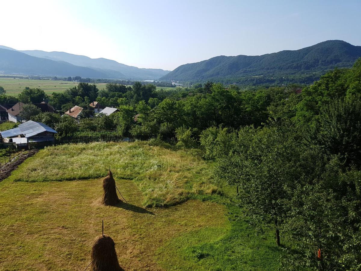 Pensiunea Adeluta Apartament Călimăneşti Εξωτερικό φωτογραφία
